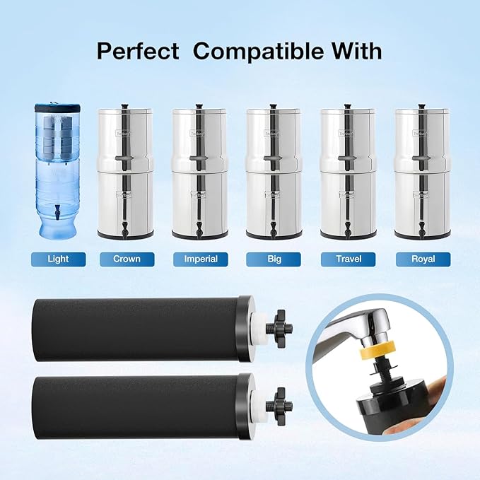 NSF/ANSI 42&372 Certified Replacement Filter Elements,Replacement for Berkey® BB9-2® Black Filters Elements ProOne® Big+ or Berkey® Big+ Gravity Water Filter System (2 Pack)