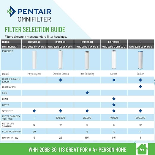 Pentair OMNIFilter Whole Home 20" Heavy-Duty Big Blue Water Filtration System with Pressure Relief, Black/Blue